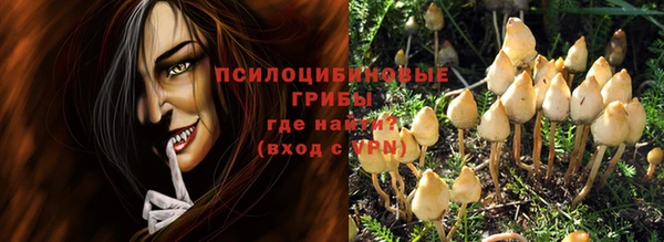 гидропоника Абаза